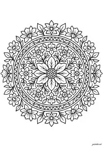 Harmonie florale en un mandala complexe