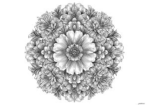 Mandala composé de grosses feuilles