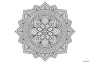 Symétrie florale captivante et détaillée