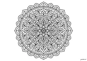Magnifique mandala floral complexe