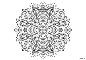 Merveille florale aux motifs géométriques