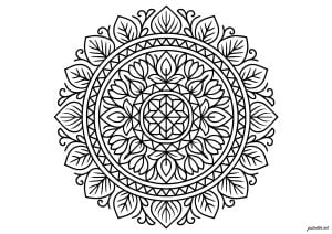 Mandala géométrique et naturel
