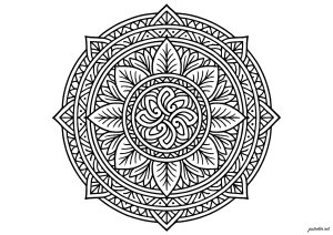 Éclatante harmonie de formes circulaires