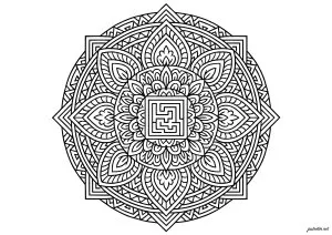 Symétrie florale envoûtante et complexe