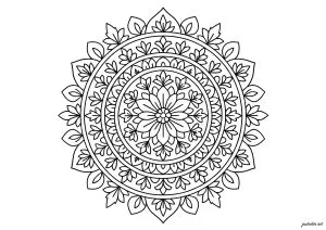 Symétrie florale paisible et harmonieuse