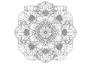 Symphonie florale en pleine harmonie