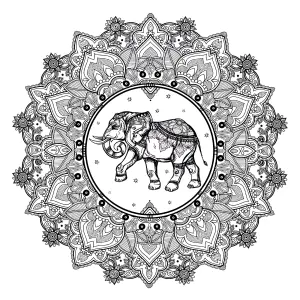 Éléphant orné au cœur du mandala