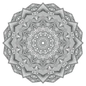 Mandala floral très complexe
