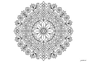 Fleur devVie Méditative