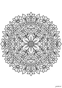 Harmonie florale en un mandala complexe