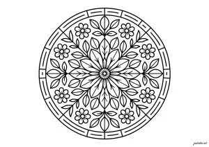 Mandala floral symétrique