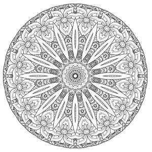Superbe Mandala complexe avec fleurs