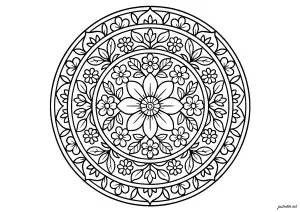 Mandala floral aux motifs délicats
