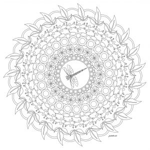 Coloriage mandala libellule