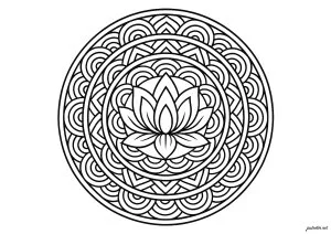 Lotus de Sérénité