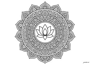 Harmonie florale au cœur d'un mandala