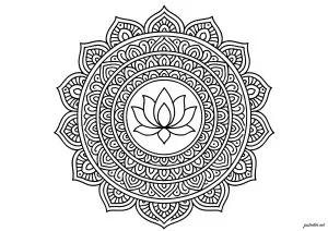 Harmonie florale au cœur d'un mandala