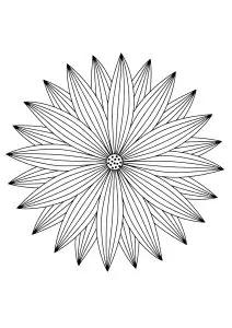 Mandala aux pétales fins
