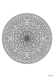 Symétrie florale dans un cercle élégant