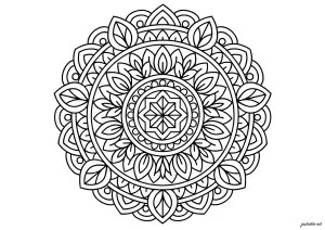 Mandalas géométriques avec motifs végétaux
