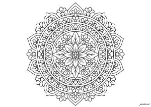 Symétrie florale aux motifs complexes