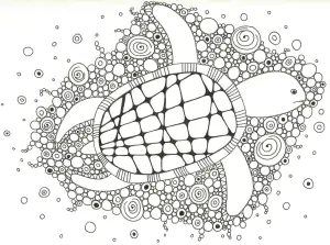 La Tortue De Juliette