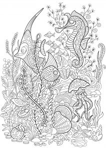 Coloriage monde aquatique poissons hippocampes