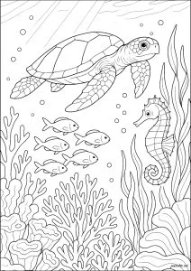 Balade sous marine