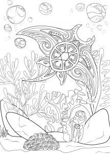 Coloriage raie et tortue