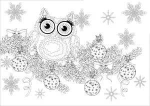 Hibou sur une branche