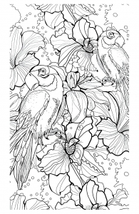 coloriage-adulte-difficile-perroquets