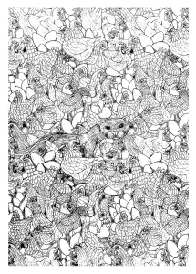 Poules Et Furet