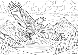L'aigle royal et les cimes