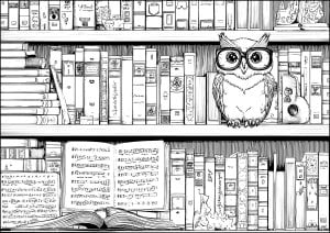 Coloriage chouette livres musique 12345