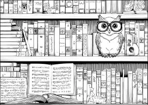 Chouette sage entourée de livres