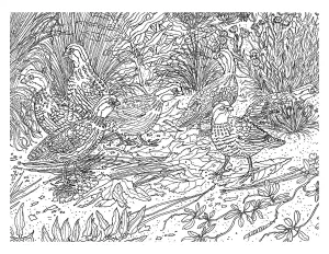 Difficile Oiseau