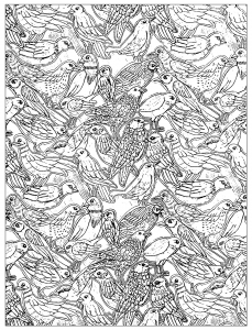 coloriage-nombreux-oiseaux