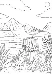 Oiseau paisible sur une plage