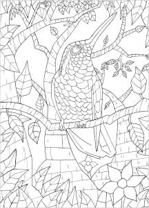 Oiseau Sur Branche