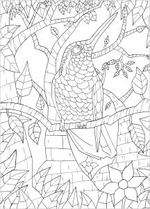 Coloriage oiseau sur branche