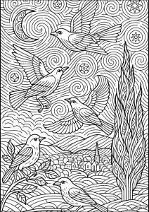 Oiseaux et Nuit Étoilée