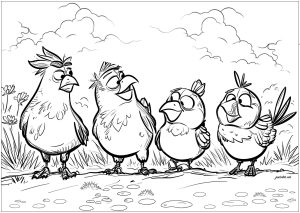 Quatre Oiseaux Rigolos