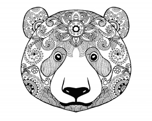 coloriage-adulte-ours-2
