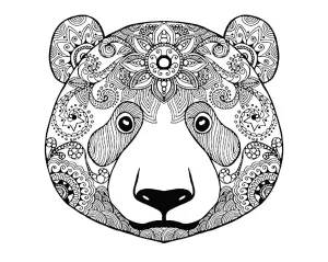 Ours 2