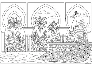 Élégant paon dans un jardin exotique