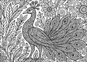 Paon majestueux et motifs floraux
