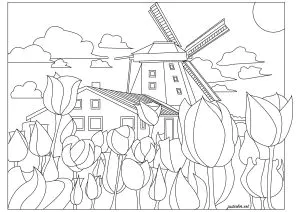 Pays Bas : Moulin Et Tulipes