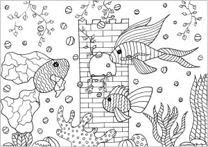 Trois Poissons Dans Un Aquarium