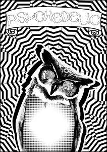 Hibou Psychedelique Par Allan