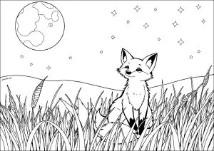 Renard Regardant La Lune